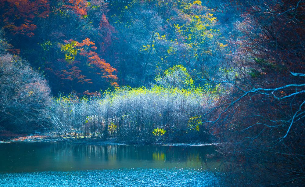 Фотография автора Maurice Leung