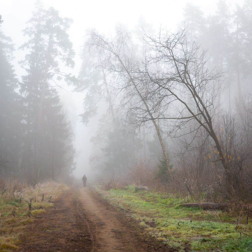 Photograph by Ирина Назарова