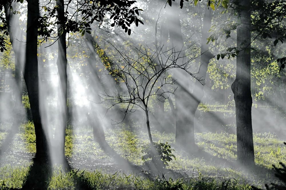 Photograph by Анатолий Святой