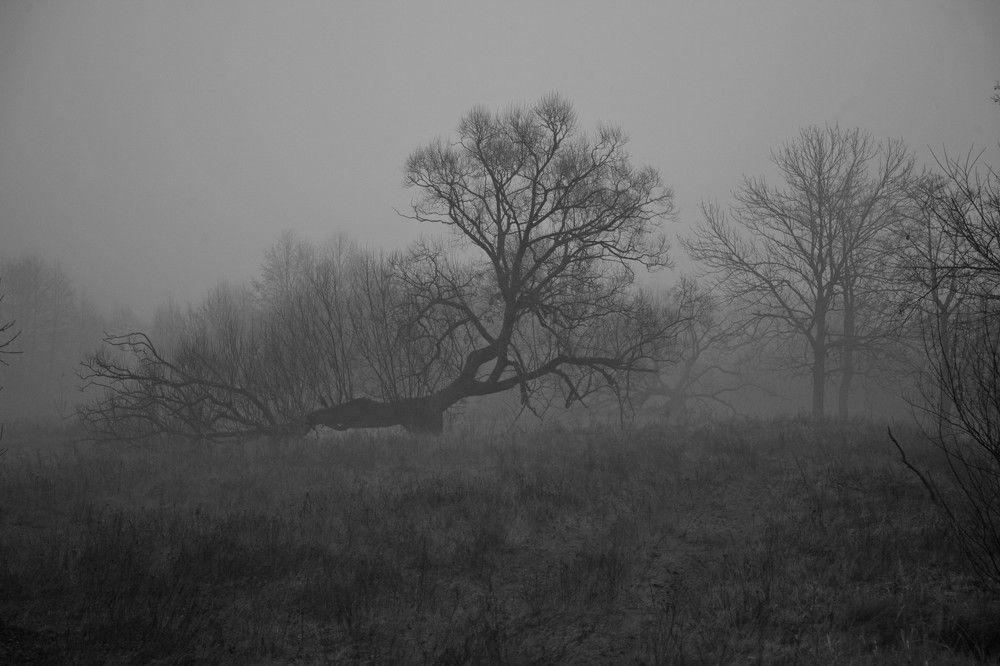 Photograph by Сергей Зятиков