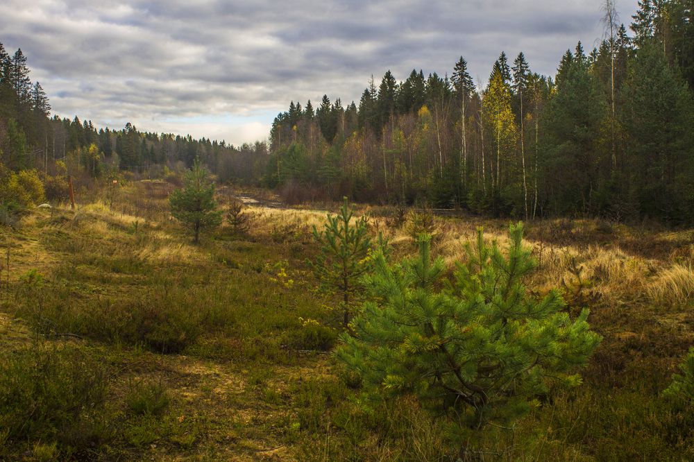 Photograph by Вячеслав Булатов