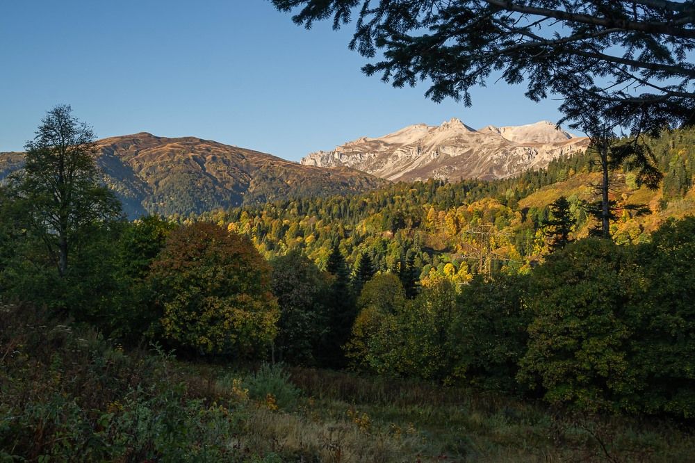 Photograph by Бабитко Юлия