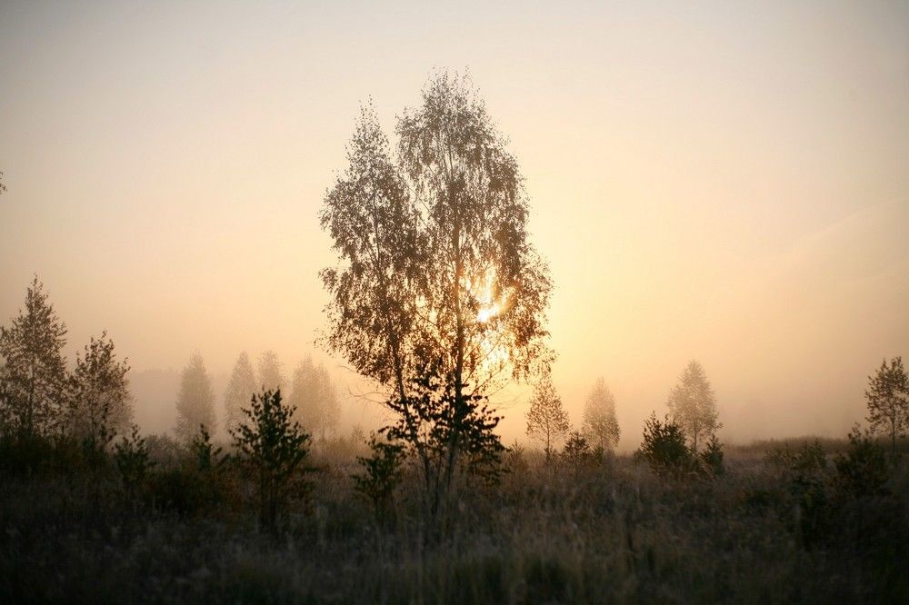 Photograph by Сергей Зятиков