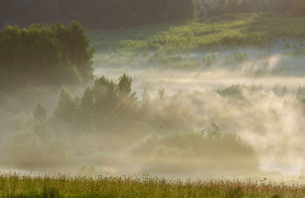 Photograph by Александр Шершнев