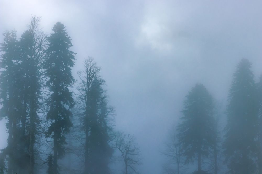 Photograph by Evgeniia Iakimenko