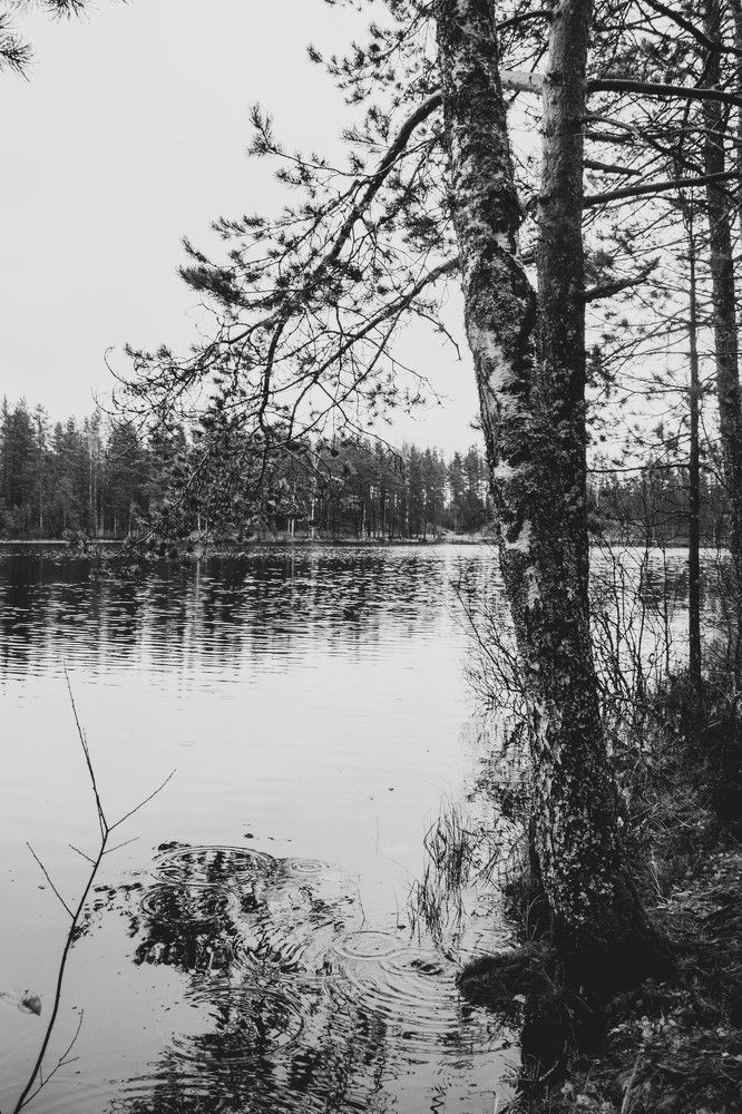 Photograph by Вадим Кондрат