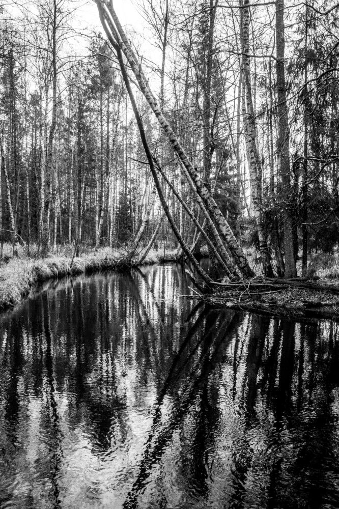 Photograph by Вадим Кондрат