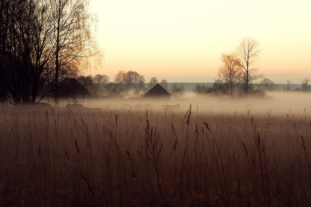 осенний вечер