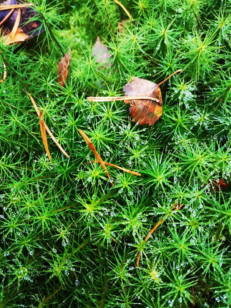 Photograph by Юрий Бирюков