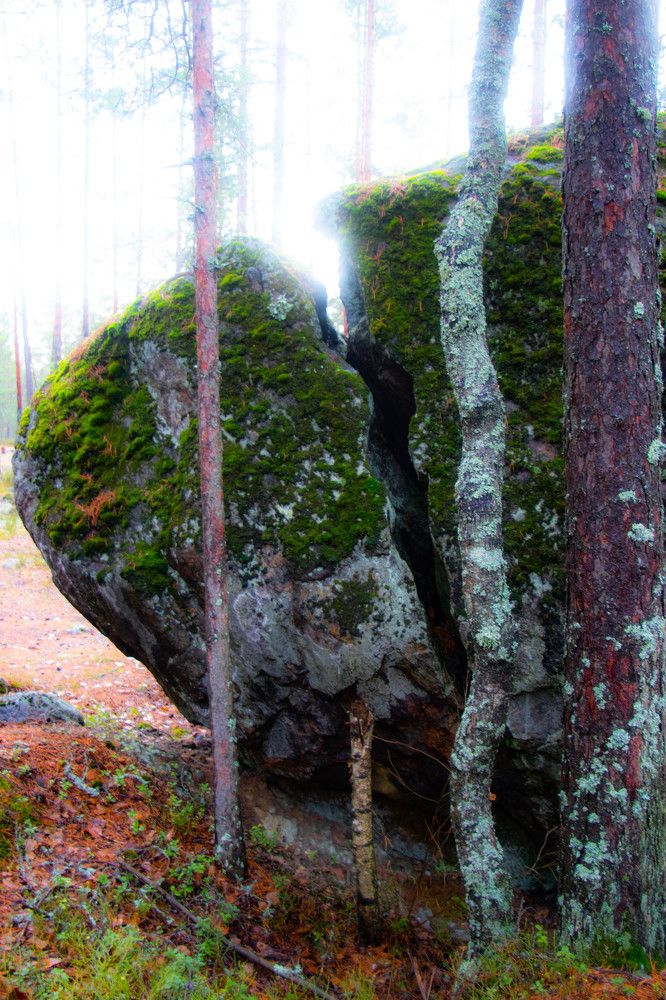 Photograph by Вадим Кондрат