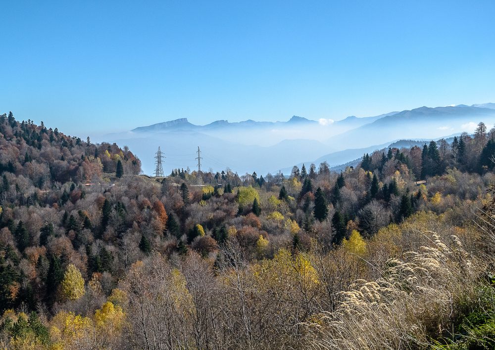 Photograph by Бабитко Юлия