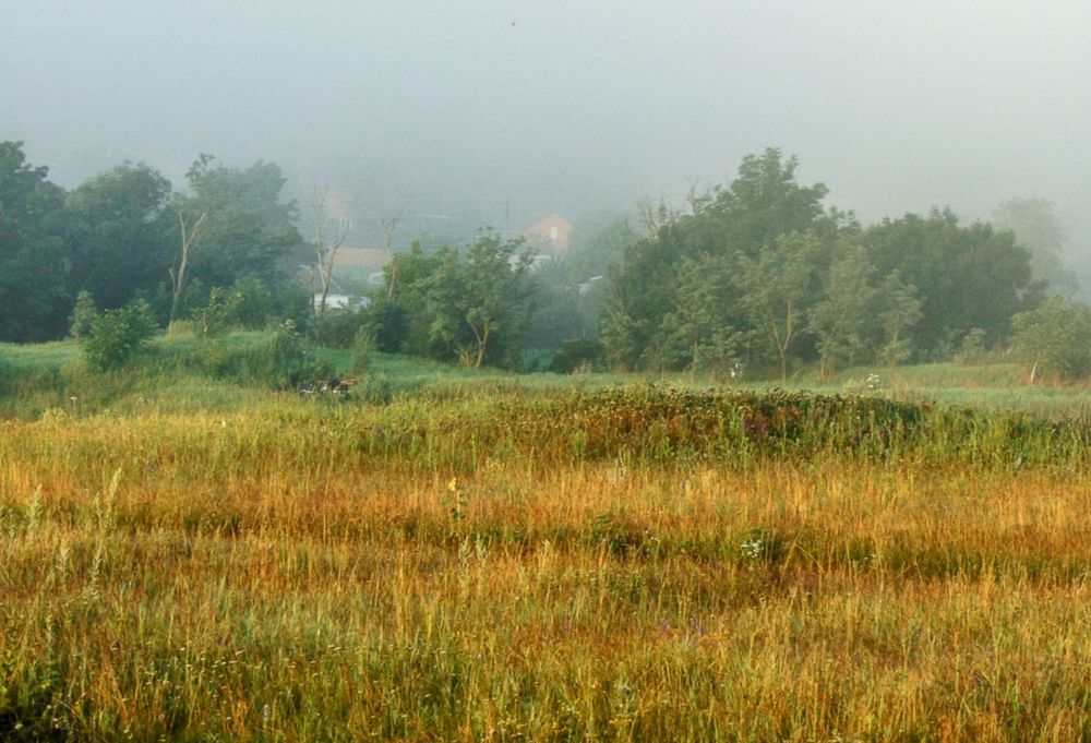 Photograph by Бабитко Юлия