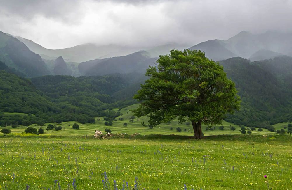 Photograph by Бабитко Юлия