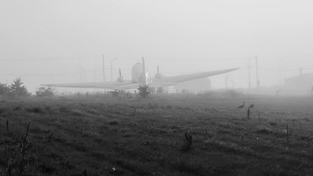 Фотография автора Raul Torres