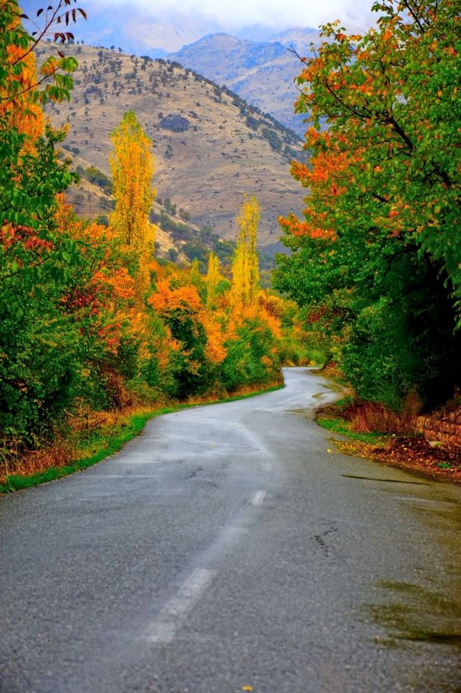 Autumn is the season of colors