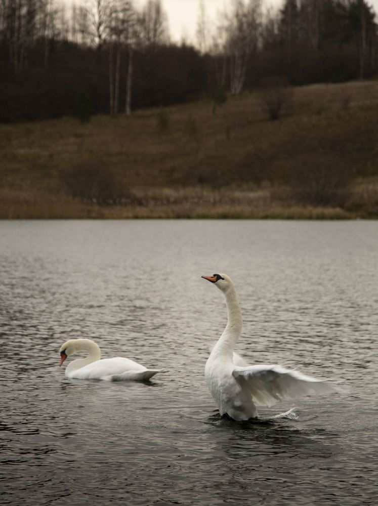 Photograph by Николай Ефимов