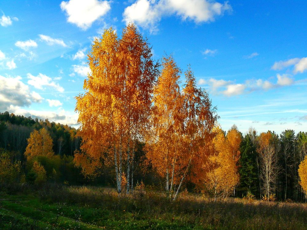 Фотография автора Анатолий Борисов