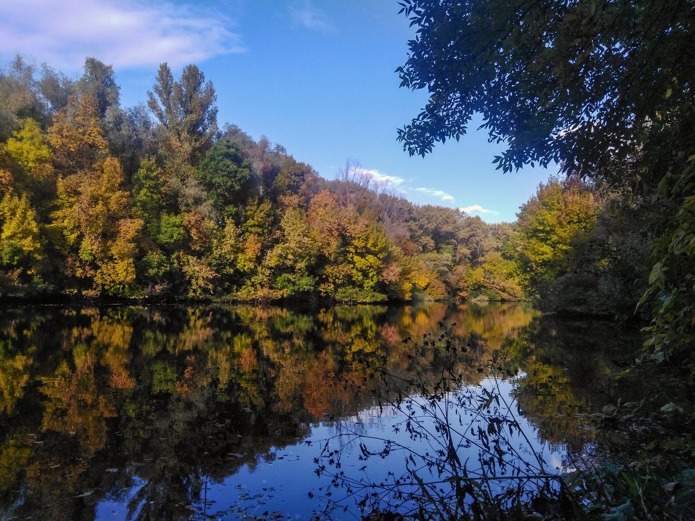 Photograph by Нелли Золотая