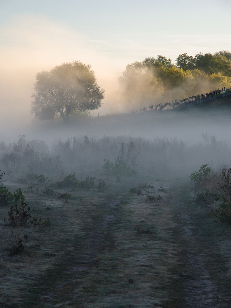 Photograph by Руслан Савченко