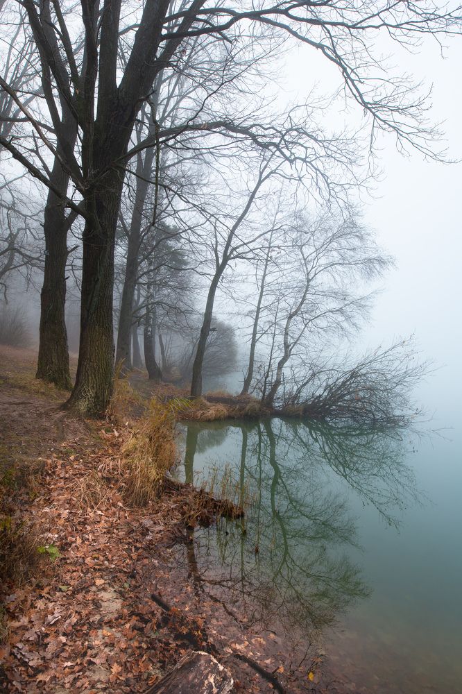 Photograph by Марина Бузина