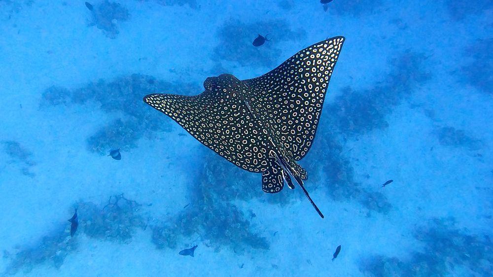 Photograph by Мария Берёзка