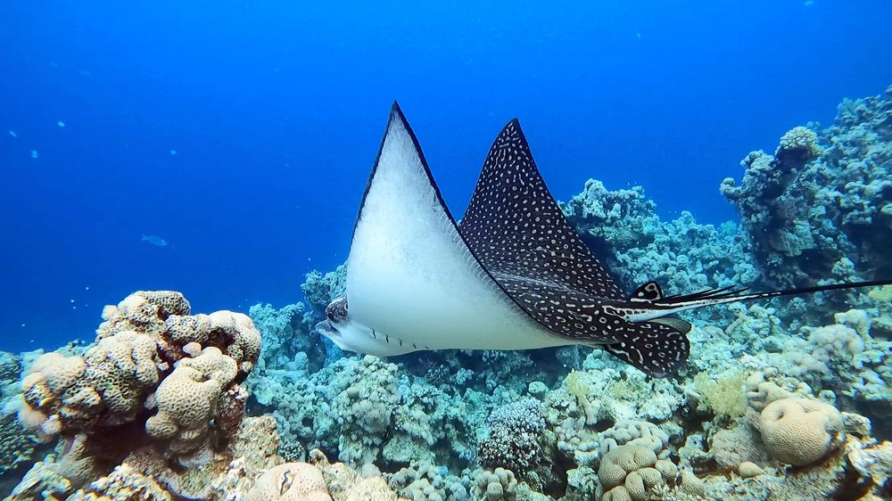 Photograph by Мария Берёзка