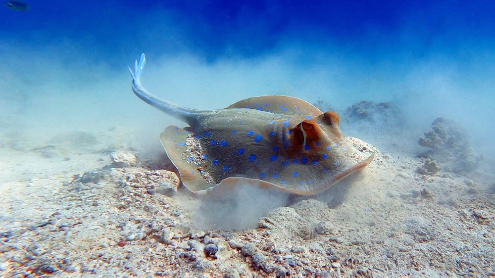 Photograph by Мария Берёзка