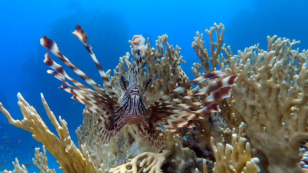 Photograph by Мария Берёзка