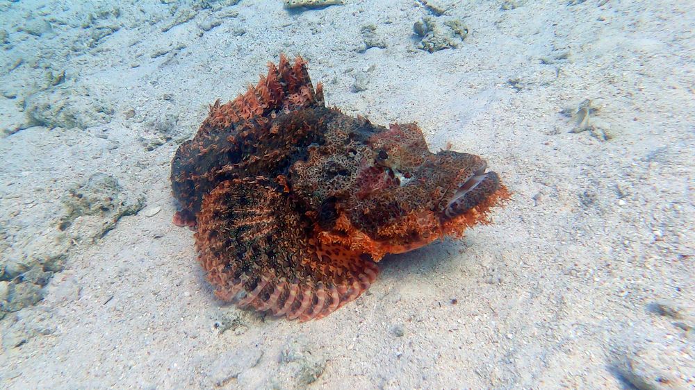 Photograph by Мария Берёзка