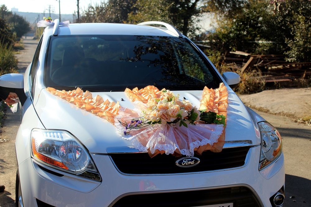 Photograph by Татьяна Пальчикова