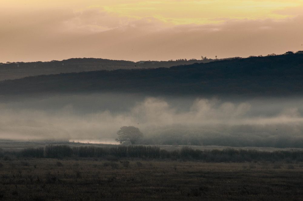 Photograph by Олег Волков