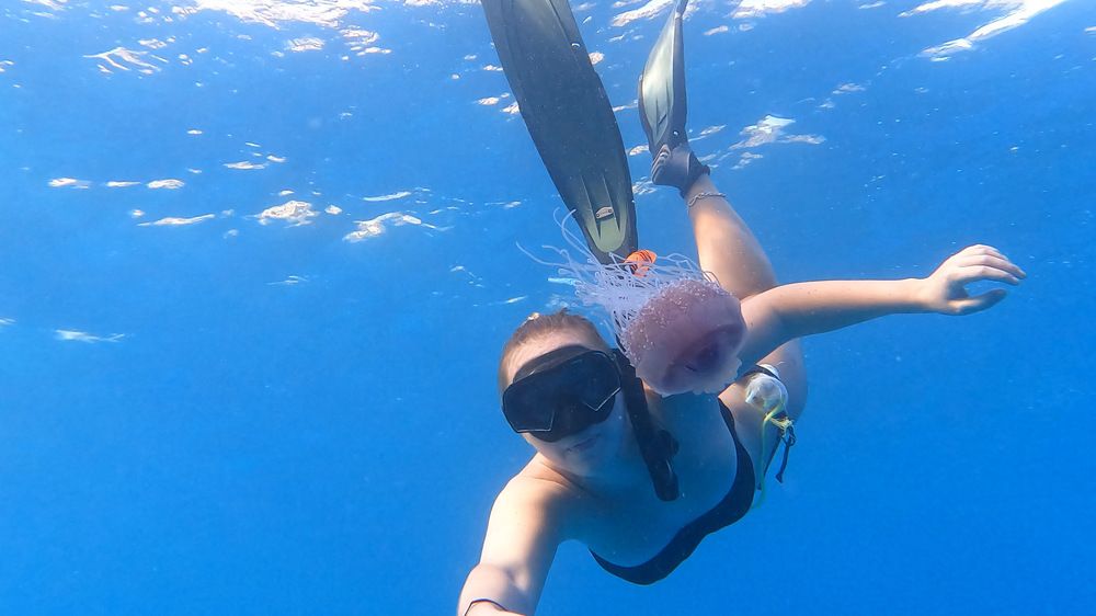 Photograph by Мария Берёзка