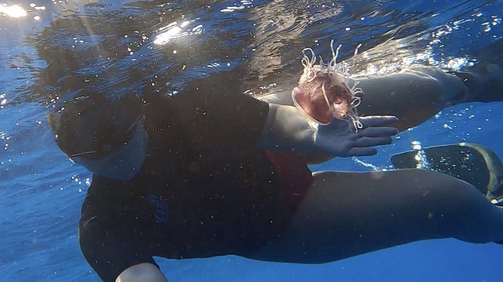 Photograph by Мария Берёзка