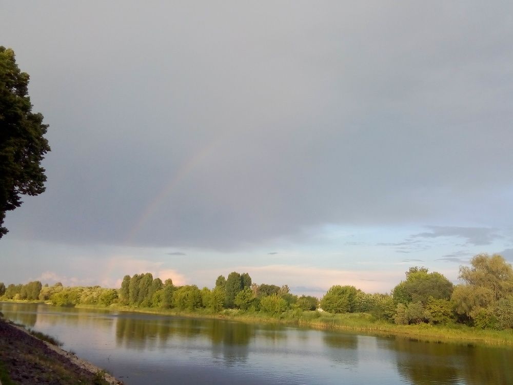 Photo #6709864