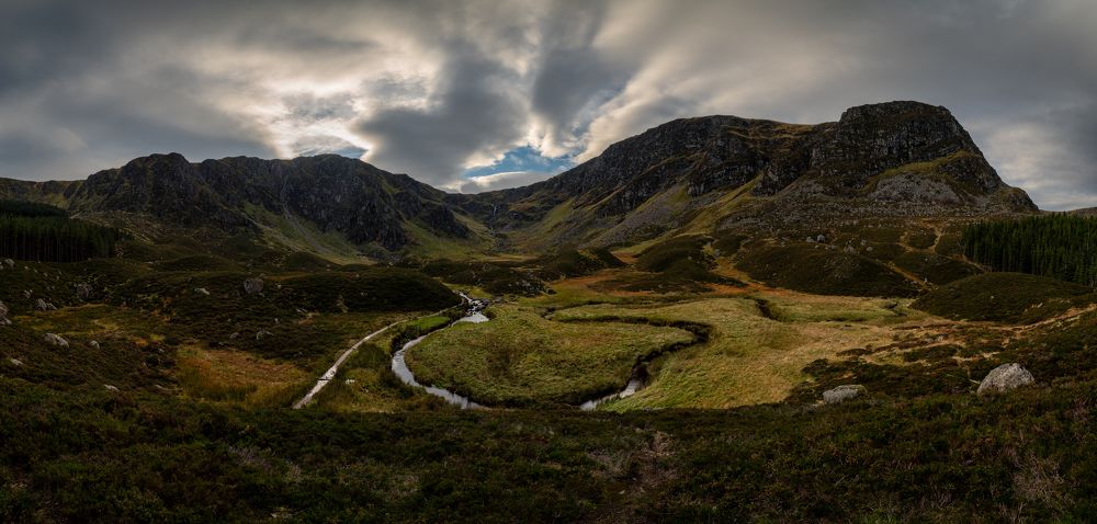 Photograph by Matt Wierzbicki