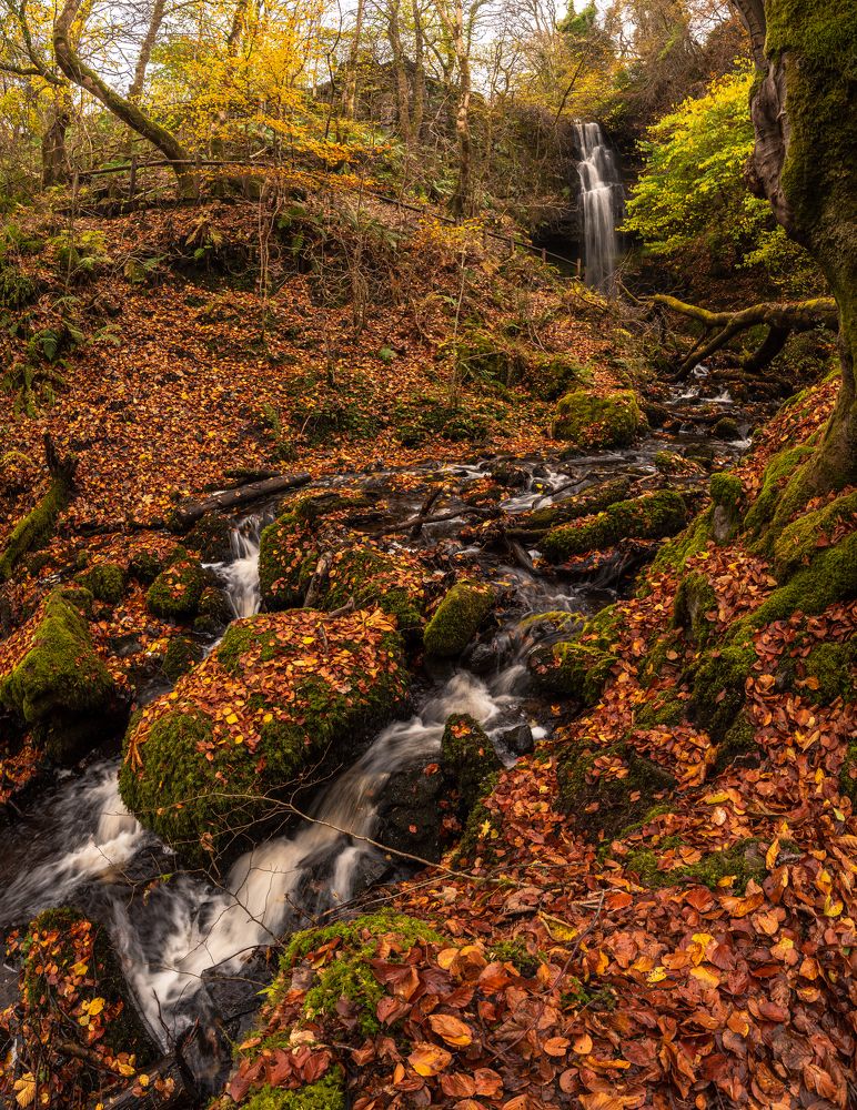 Photograph by Matt Wierzbicki