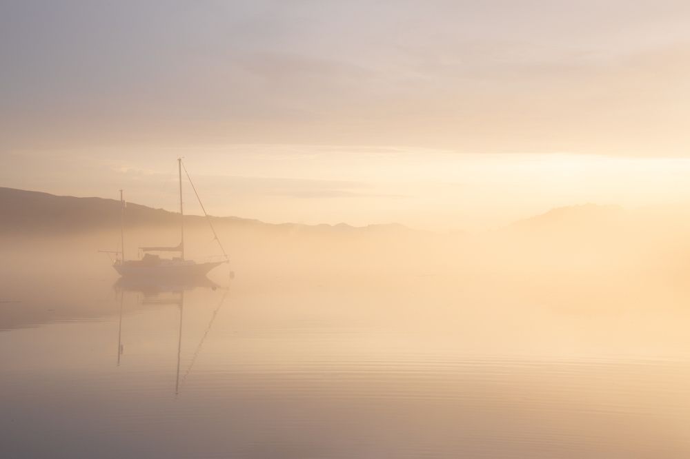 Photograph by Matt Wierzbicki