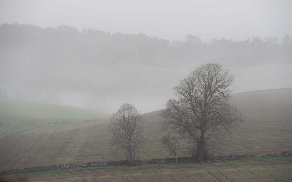 Photograph by Matt Wierzbicki