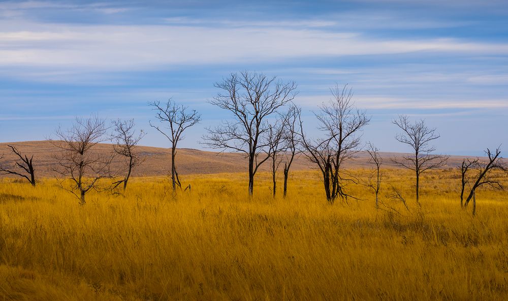Photograph by Игорь Кляхин