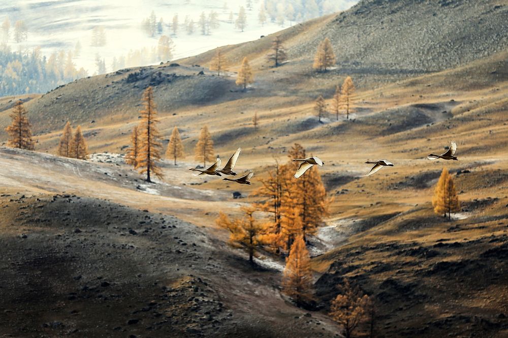 Photograph by Андрей Ершов