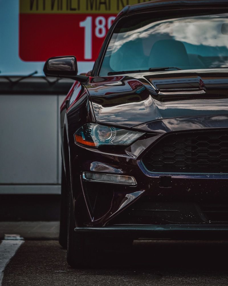 Photograph by Михаил Чепрунов