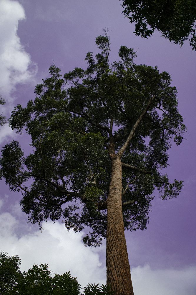 Photograph by Yerik Ramírez