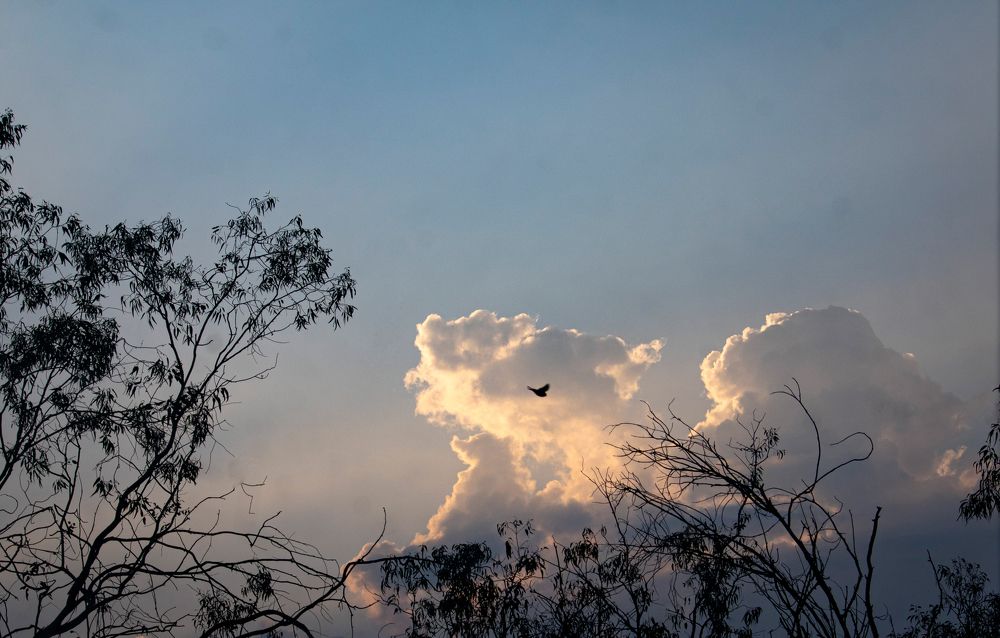 Photograph by Yerik Ramírez