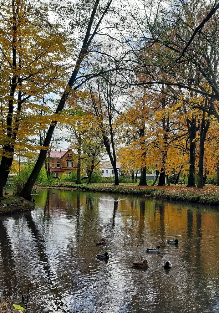 Осенний Тильзит.