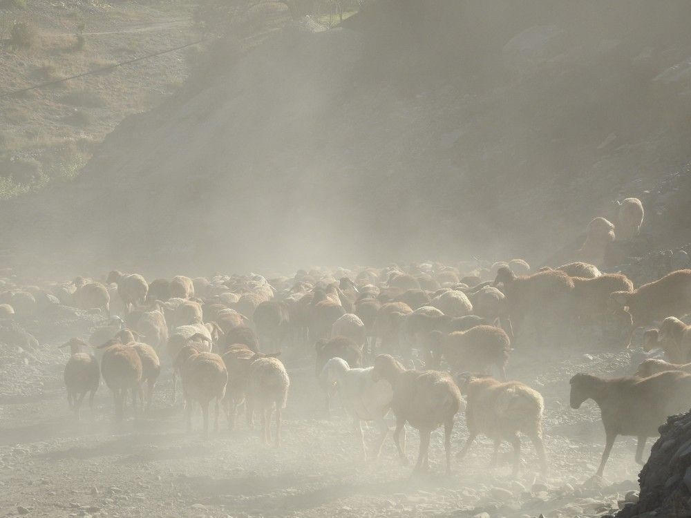 Photograph by Рустамбек Аҳмадзода