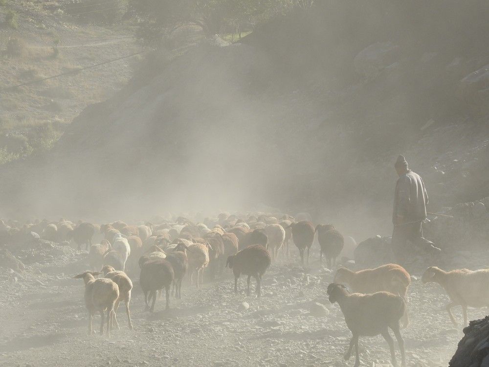 Photograph by Рустамбек Аҳмадзода