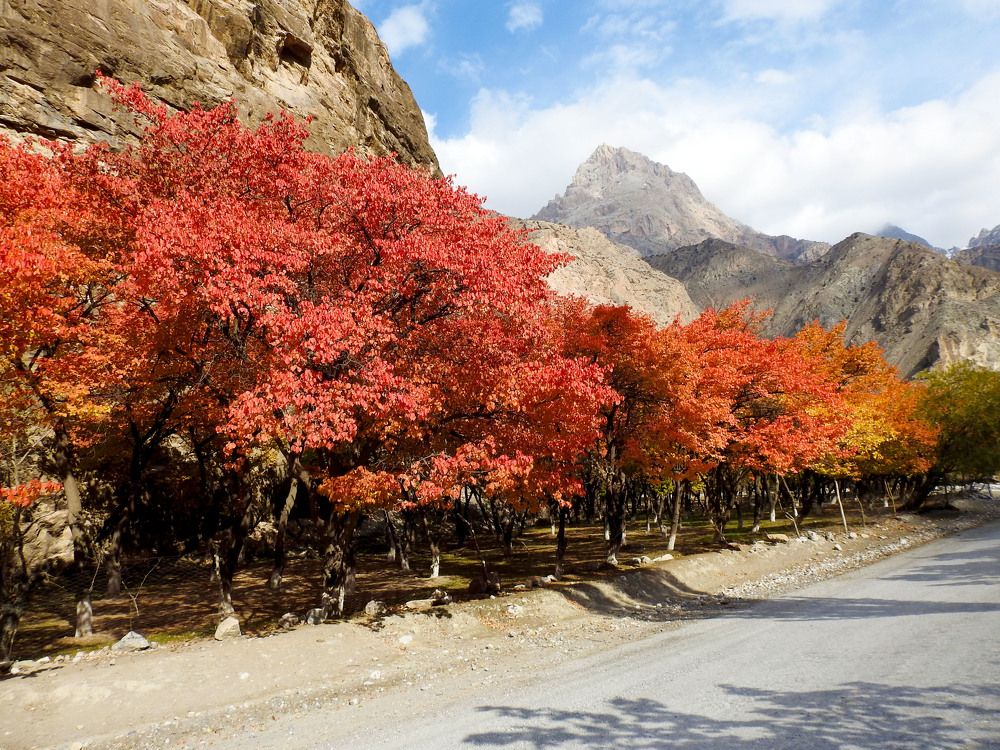 Photograph by Рустамбек Аҳмадзода