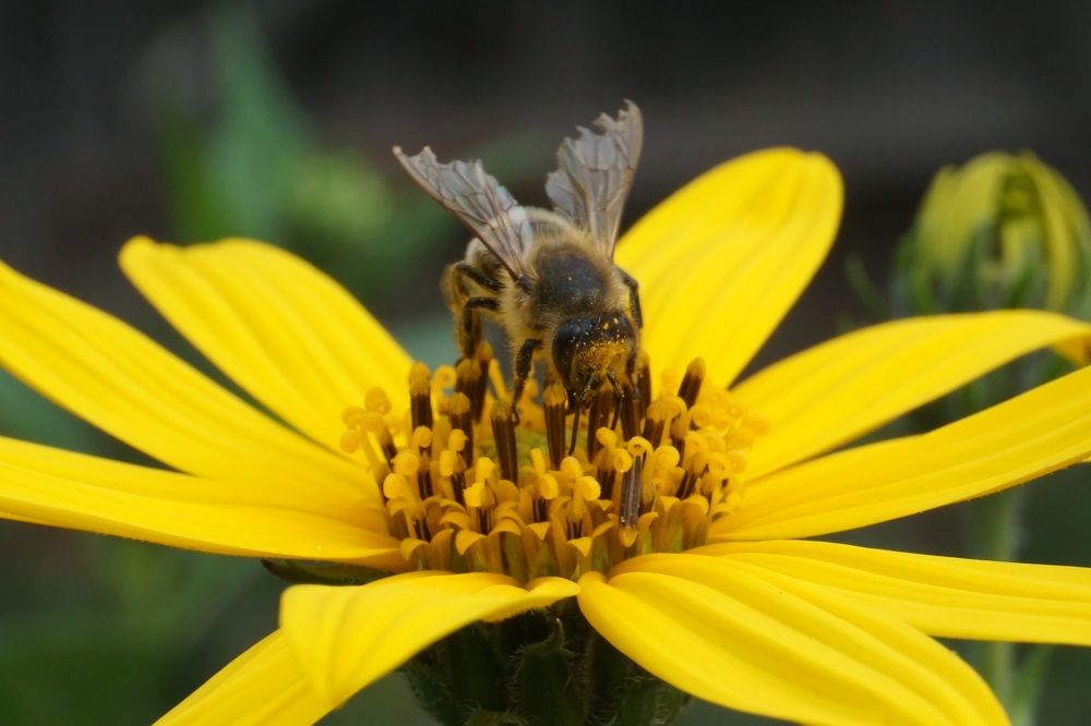 Photograph by Алфия Бугакова