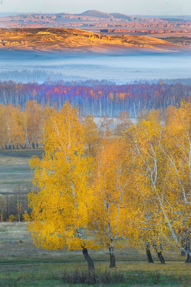 Photograph by Орлов Михаил