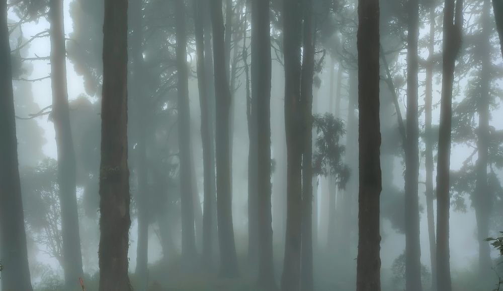 Photograph by Tanmoy Mitra